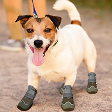 hundeschuhe