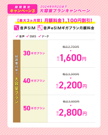 大容量プランキャンペーン