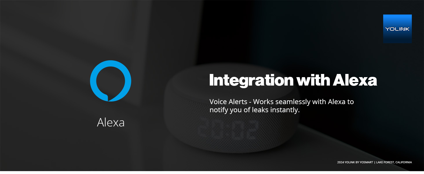 Integration with Alexa