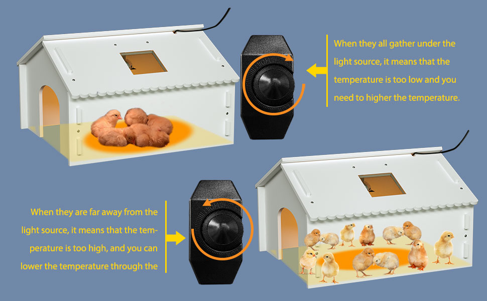 GOOD MOTHER Chick Heat lamp Chick Brooder Duckling brooder