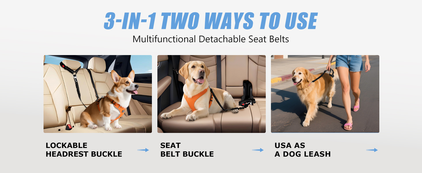 dog seat belt