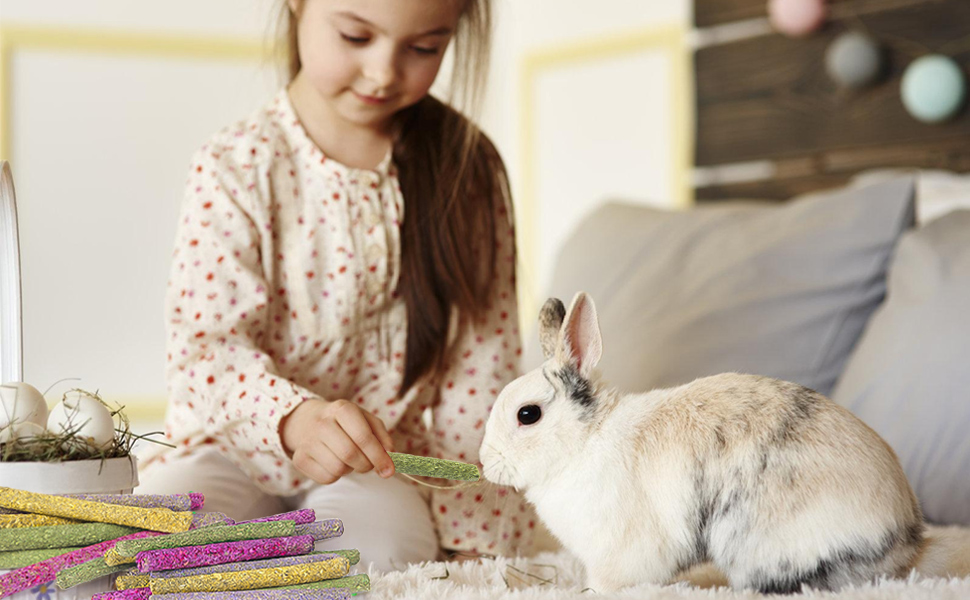 40PCS Rabbit Chew Sticks with Lavender