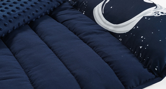 Minky Toddler Nap Mat