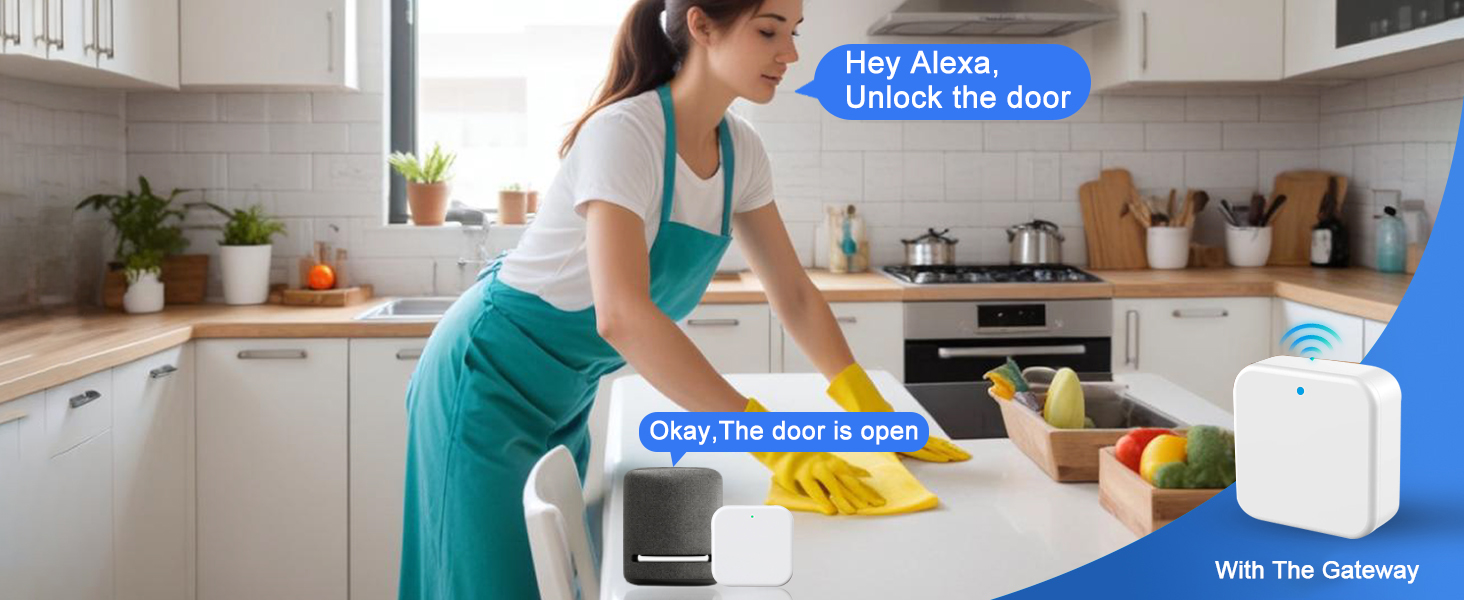 smart locks for front door