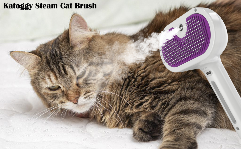 cat brush