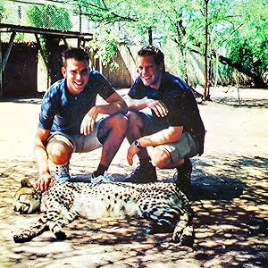 Torre fundamental, daniel, Cristo, Guepardo, África, Safari