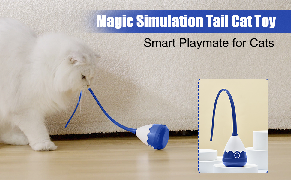 Cat Toys Petcronies, Interactive Cat Toys for Indoor with USB