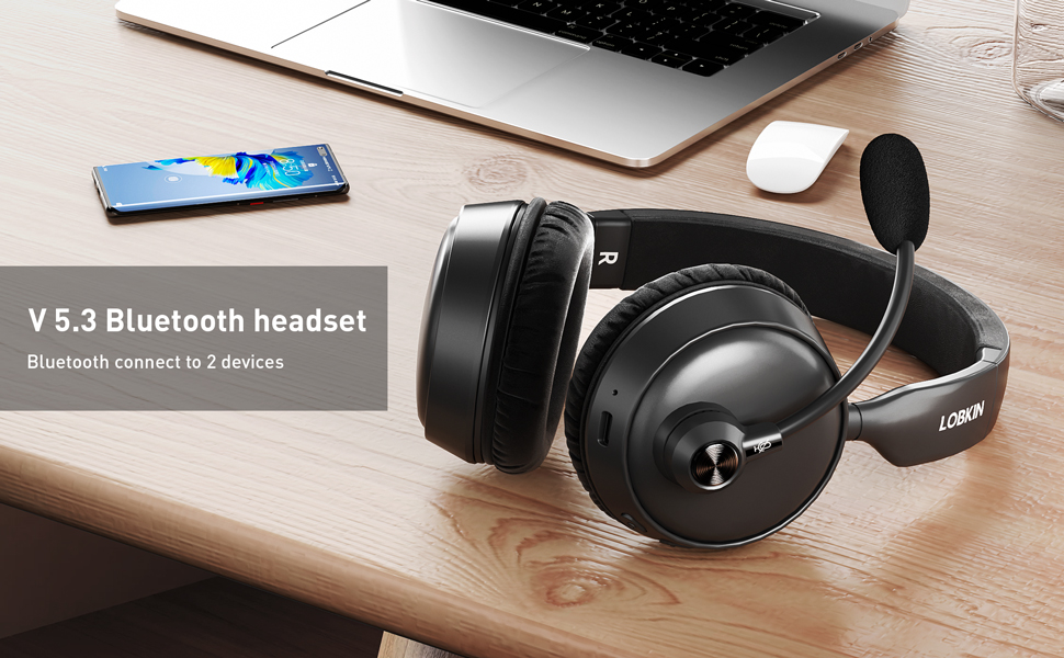 LOBKIN Headset with Microphone