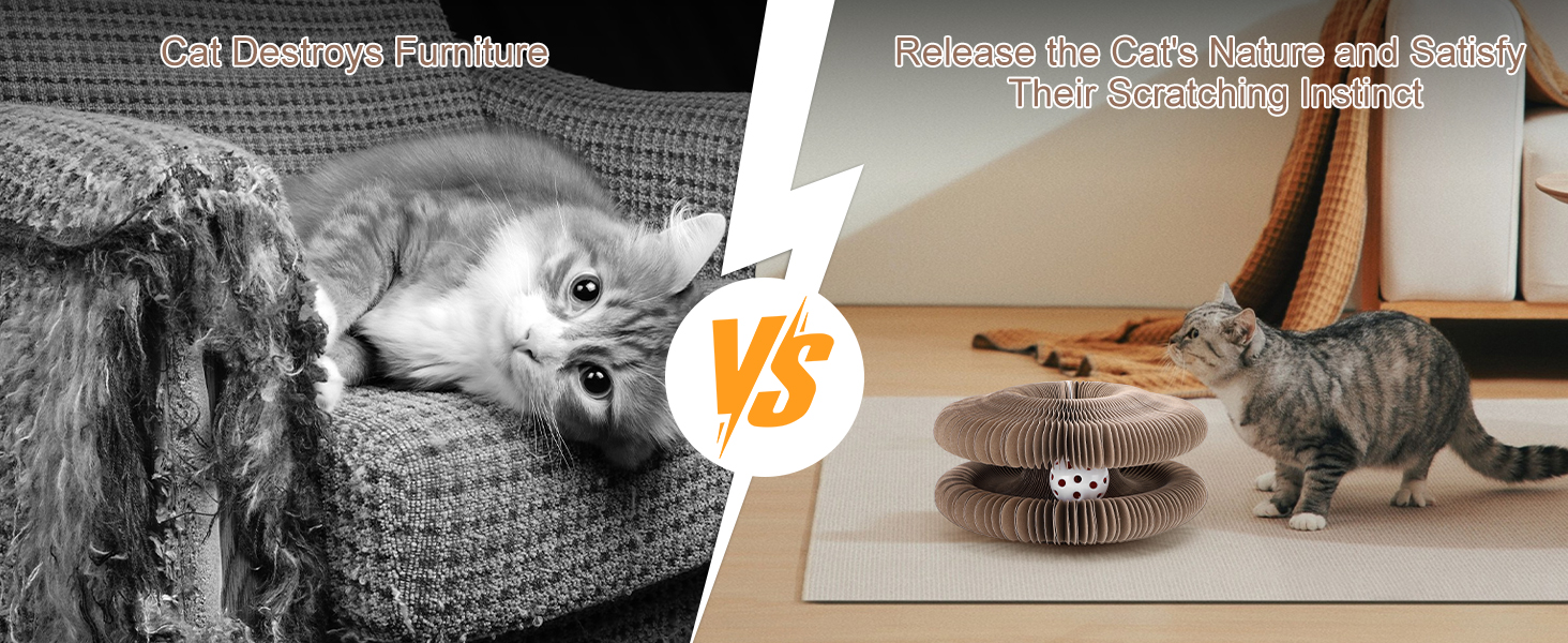 cat scratcher toy
