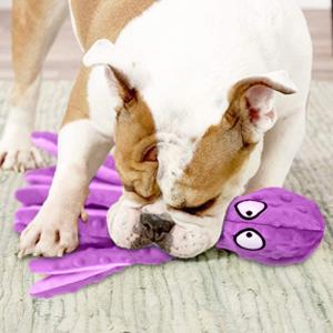dog toy