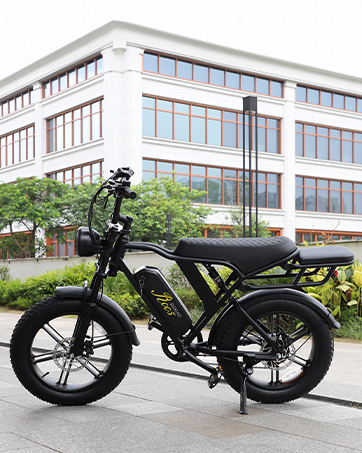 SISIGAD E Bikes Mountain Bike Fat Bike 20 Inch Electric Bicycle Men Women Electric Bicycle