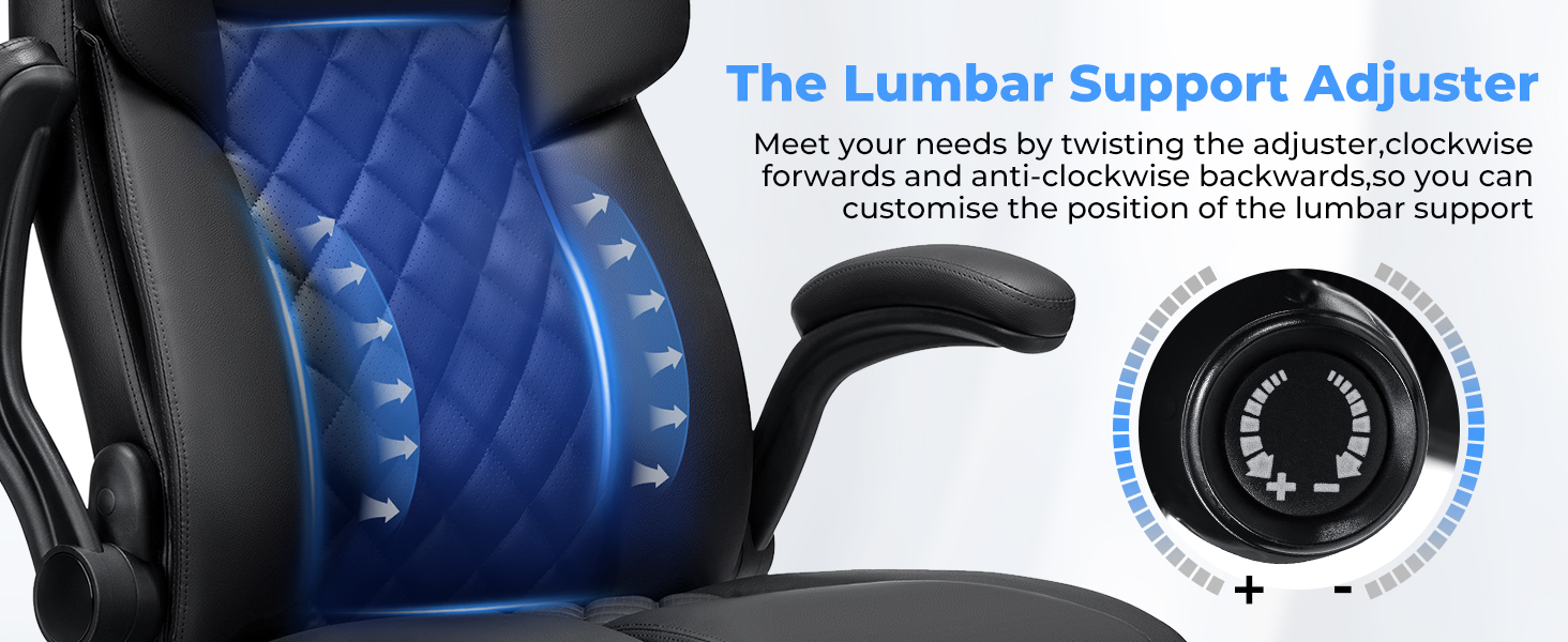 Lumbar Support Office Chair
