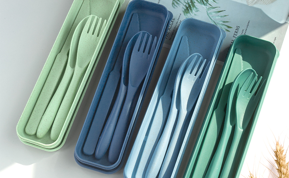 Travel utensils with case