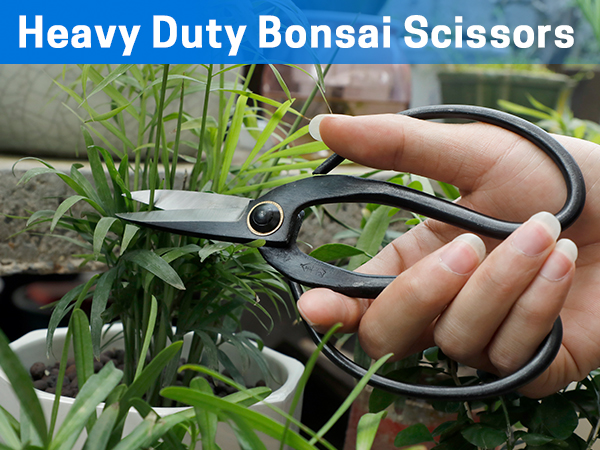 Amazon.com : VISEMAN Japanese Bonsai Pruning Scissors