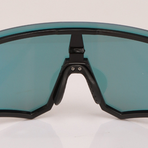 picture shows the adjustable nose pads