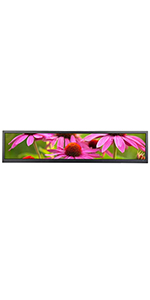 24 Inch 1920x360 IPS Stretched Bar LCD Monitor