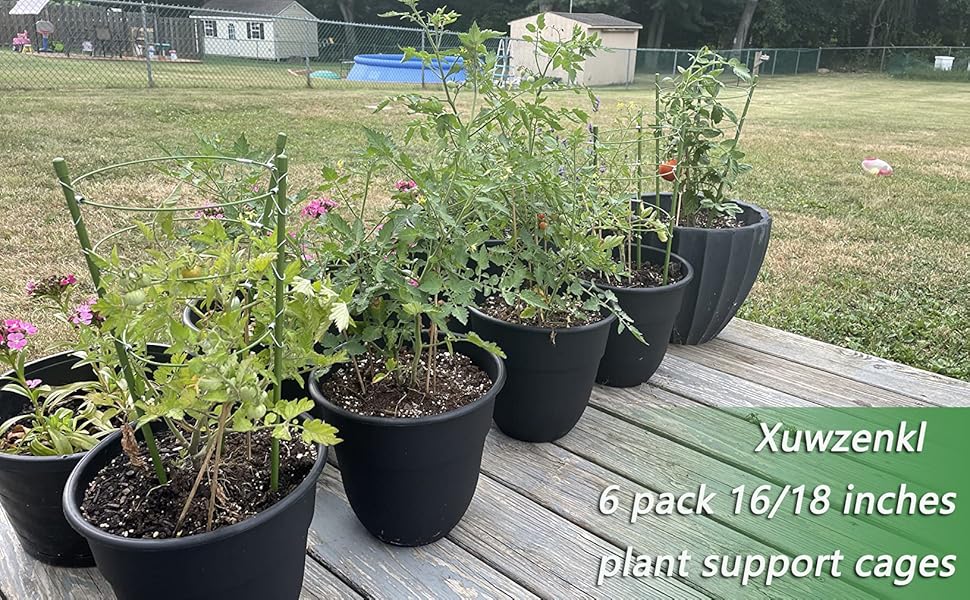 plant support cage