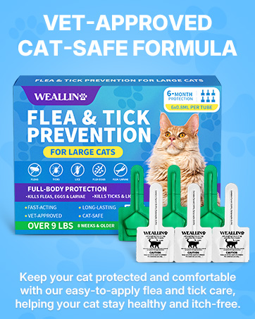 flea and tick for cats