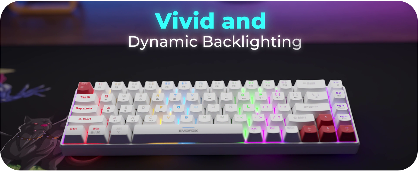 EvoFox Katana S Mini Tri-Mode Wireless Mechanical Gaming Keyboard