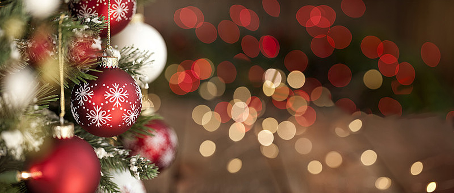 dryades hydroponic growing system