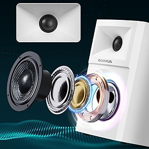 Carbon Fiber Woofer & Silk Dome Tweeter | Accurate Sound Reproduction