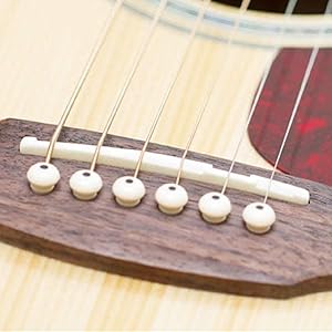 Amazon.com: Miwayer 6-12 String YMH MT Acoustic Guitar Unbleached Bone ...