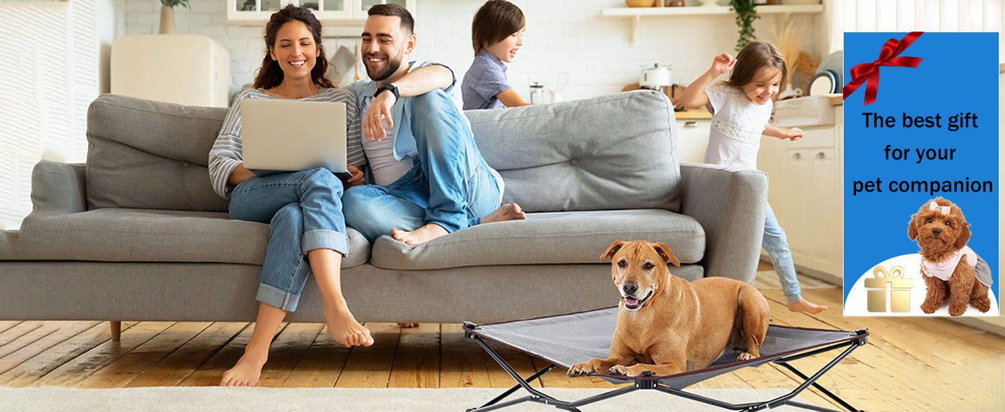 raised outdoor dog bed