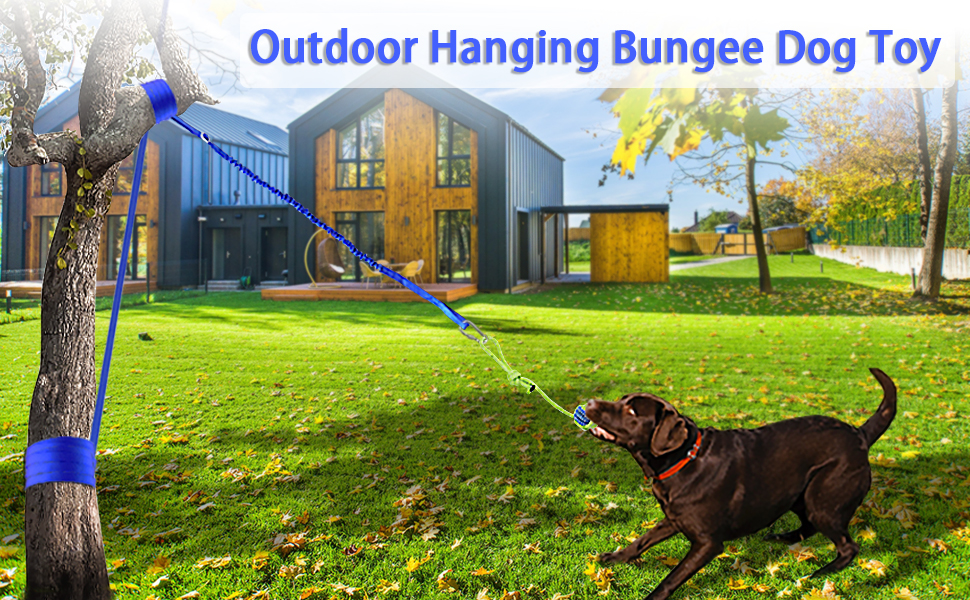 Outdoor Hanging Bungee Dog Toy Interactive Dog Tug Toy