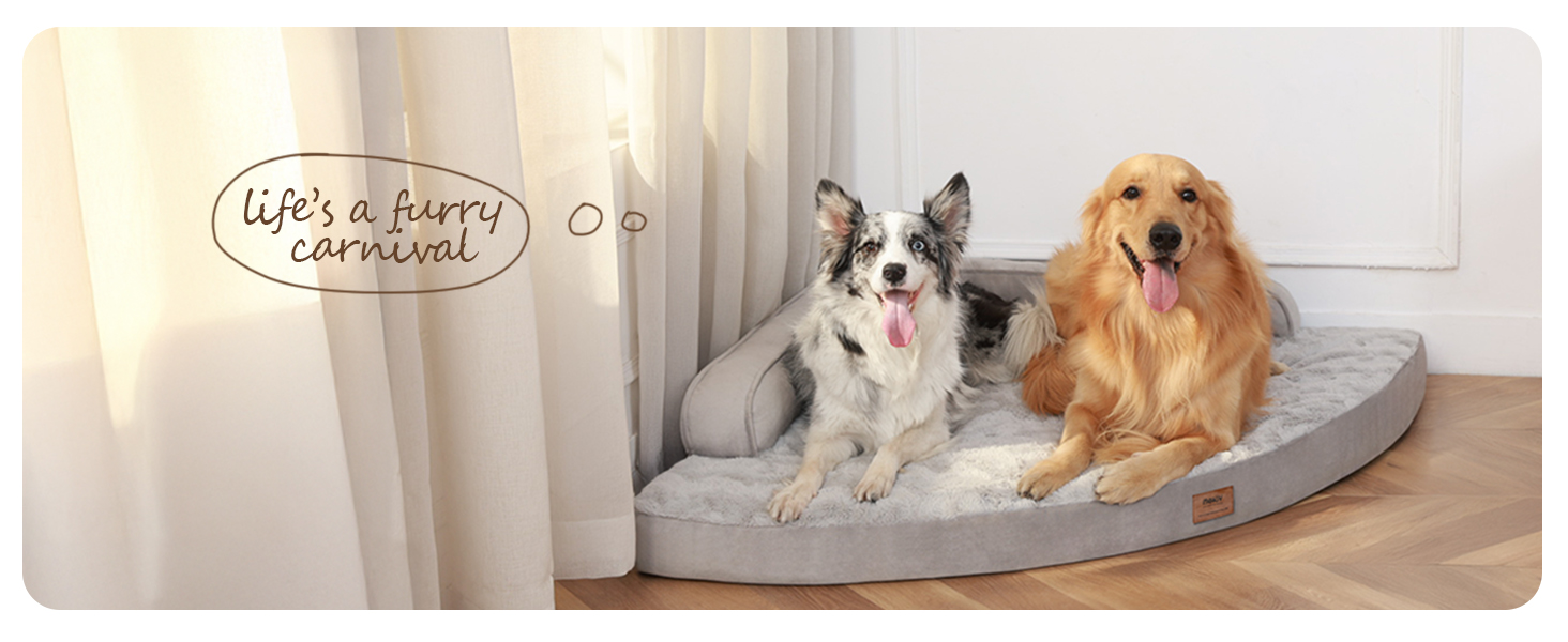 dogs bed large