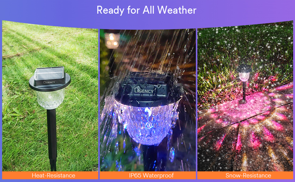 Solar Pathway Lights