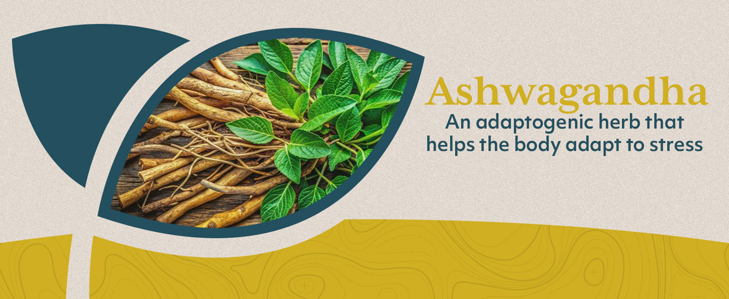 relief ringing ears zinc supplements bromelain attack naturals health oscillococcinum elderberry