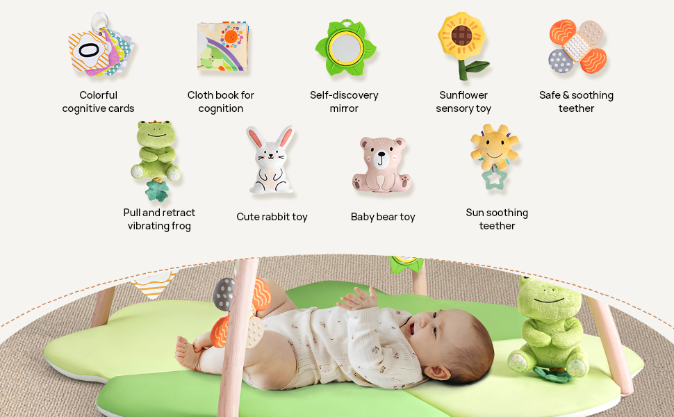 Baby Play Gym with Detachable Toys