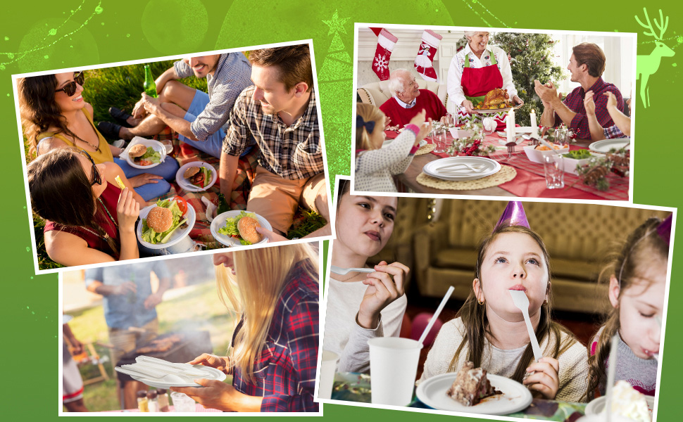 paper plates for party