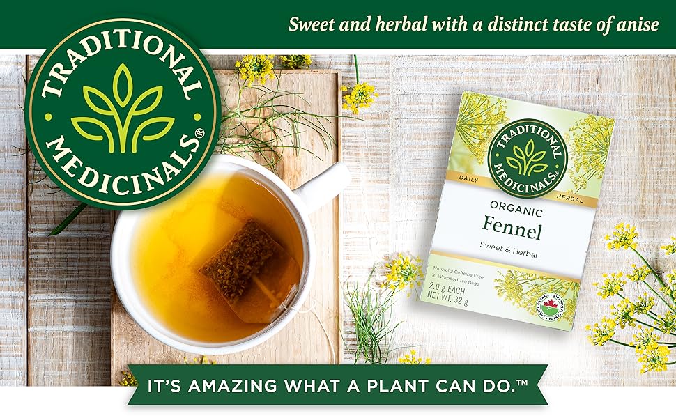 Traditional Medicinals, Organic Fennel Tea, 16 Count Tea Bags (Pack of