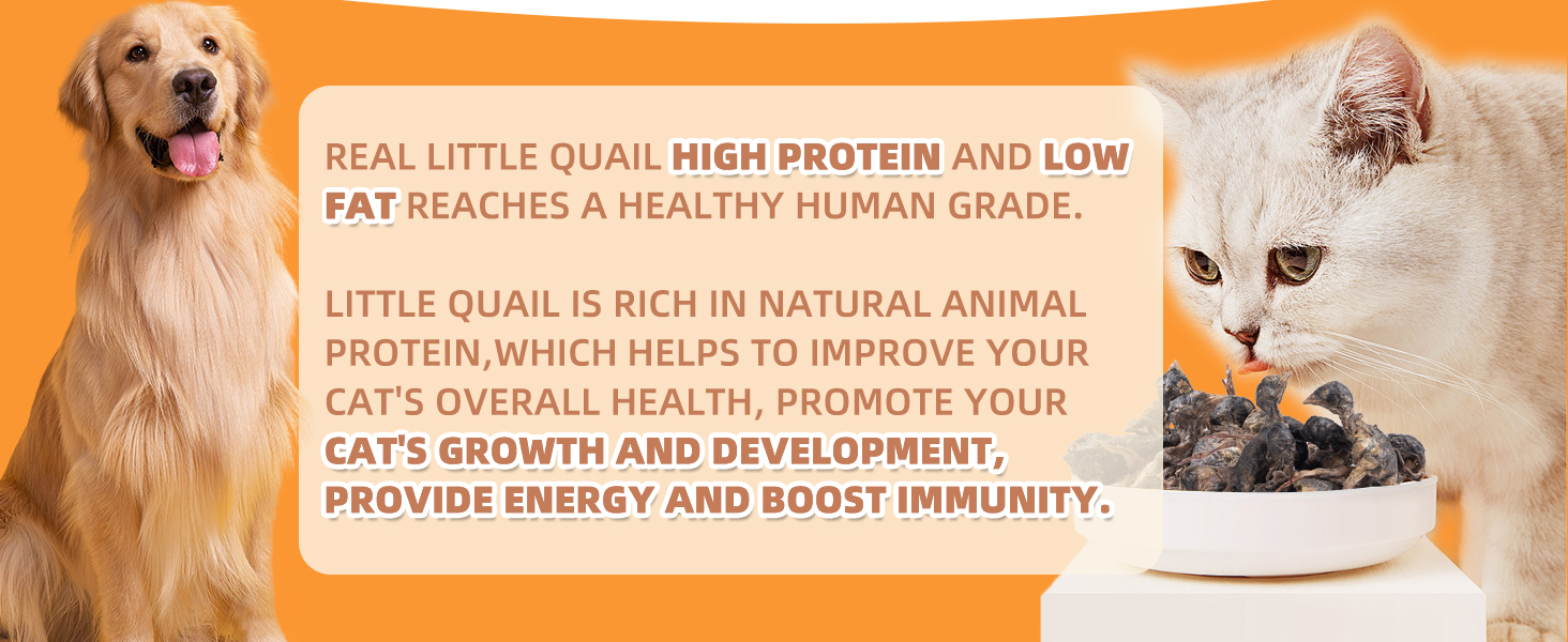 freeze dried dogs and cats treats