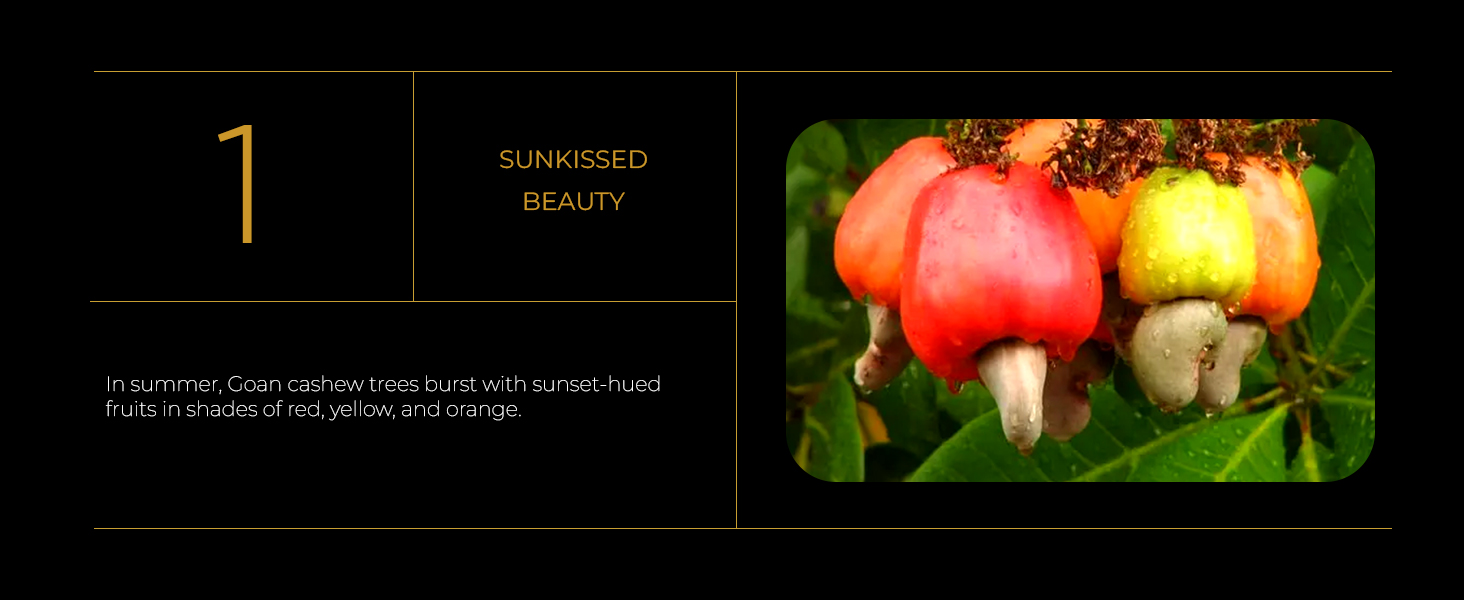 goan cashew nuts