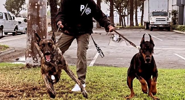 Large manufacture image 2