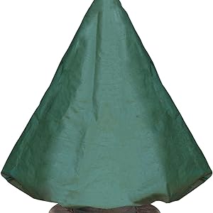 fountain