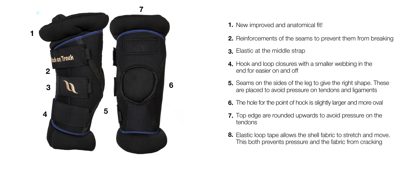 BOT 2022 Royal Padded Hock Boots 2 (Desktop)