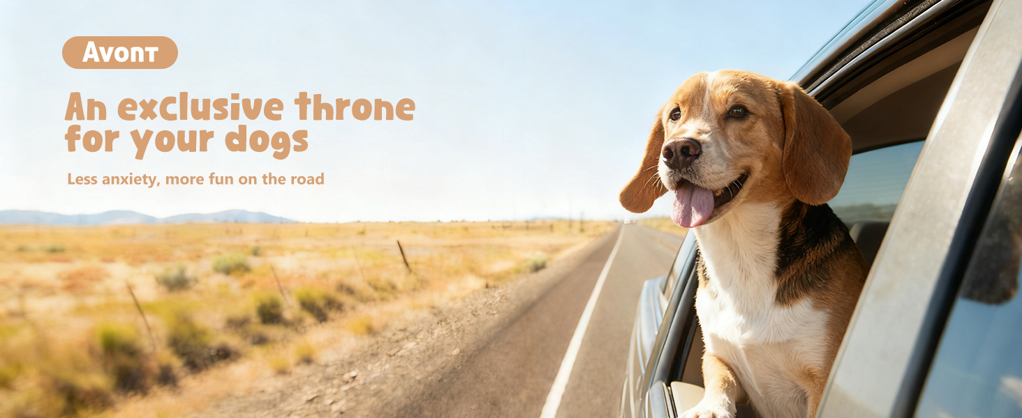 Start adventure with your dogs