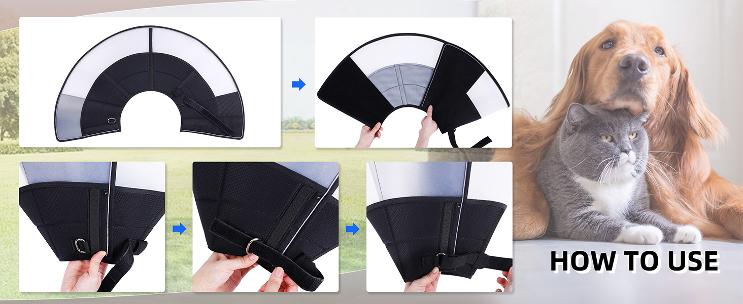 elizabethan collar for dogs