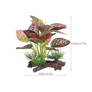 Fish Tank Plants