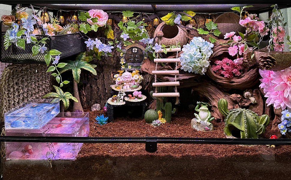 coconut hide,crested gecko accessories,reptile,reptile hideout,snake hide