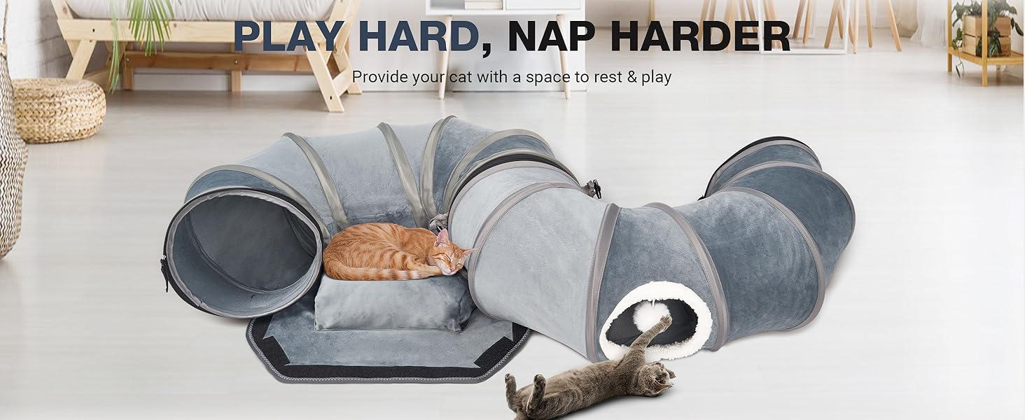 cat play tunnel