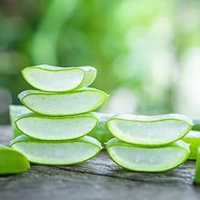 aloe