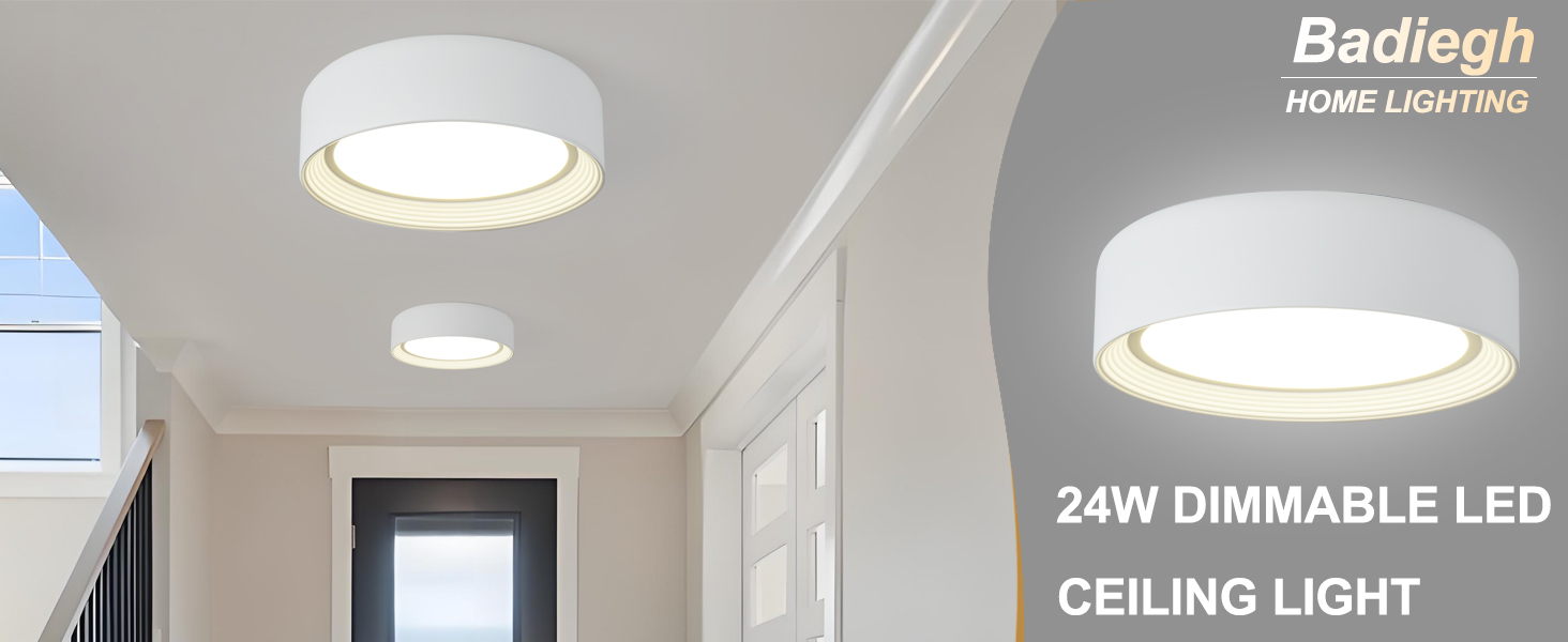 dimmable ceiling light