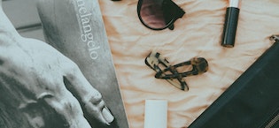 tortoise shell hair clips