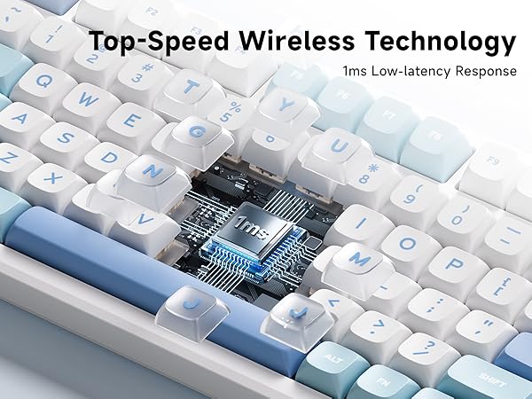 セレクトK 2025 Kawasaki Ninja ZX-4RR | Adventure Power Products