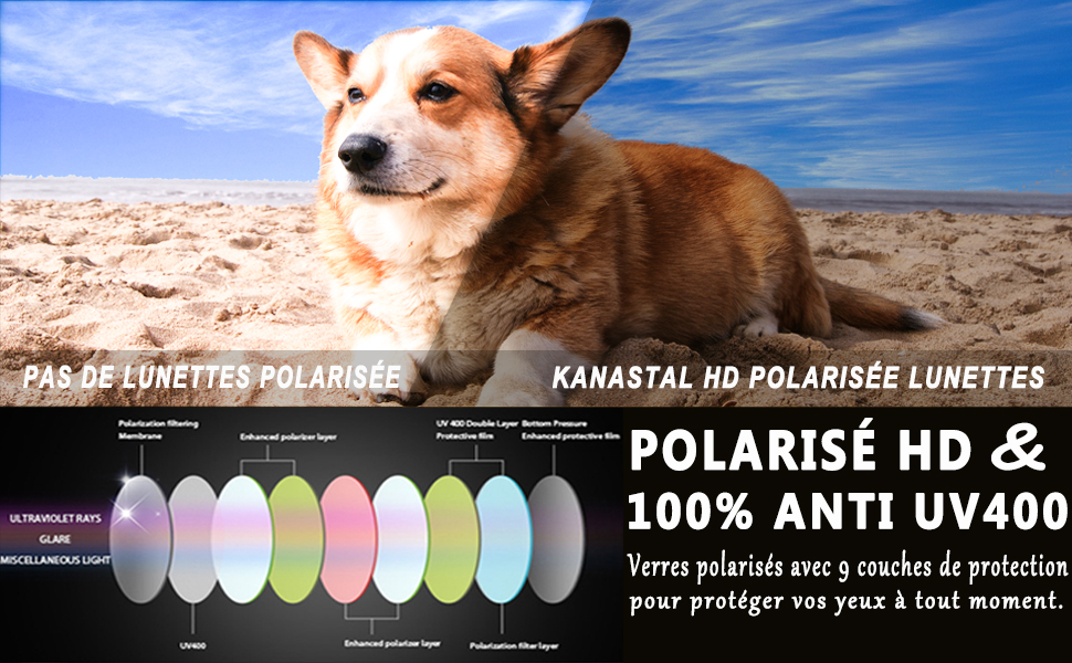 Lunettes de soleil polarisées femme mode