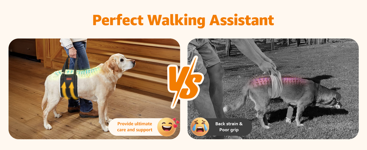 dog lift harness for back legs